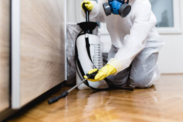 Best Mosquito Control Services  in Bonneau Beach, SC