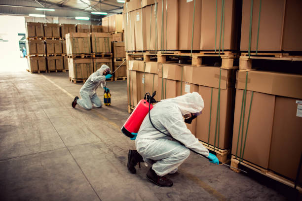 Best Pest Control for Homes  in Bonneau Beach, SC