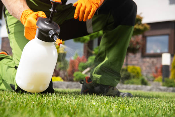 Pest Control Cost in Bonneau Beach, SC