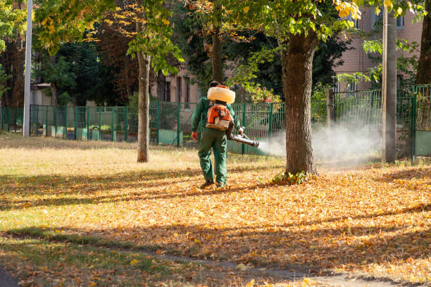 Best Ant Control Services  in Bonneau Beach, SC
